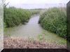 2004-05-30-Somme-dim55-.jpg