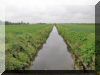 2004-05-30-Somme-dim58-.jpg