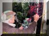2004-05-08-draveil18.jpg