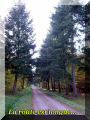 2004-10-24-Armainvilliers02.jpg