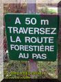 2004-10-24-Armainvilliers74.jpg