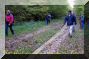 2004-10-17-Villefermoy-62.jpg