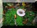 2005-10-23VillefermoyPM20.jpg