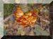 2005-10-23VillefermoyPM23.jpg