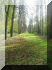 2005-11-06VersaillesAM106.jpg