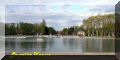 2005-11-06VersaillesPM15.jpg