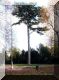 2005-11-06VersaillesPM31.jpg