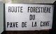 2005-11-13-Bois-le-Roi-AM16.jpg