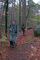 2005-11-13-Bois-le-Roi-PM12.jpg