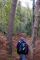 2005-11-13-Bois-le-Roi-PM14.jpg