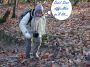 2005-12-18-Boissy-XM11-.jpg