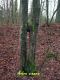 2006-02-19-Larchant-PM07.jpg