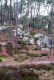 2006-02-19-Larchant-PM15.jpg