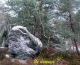 2006-02-19-Larchant-PM20.jpg