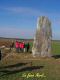 2006-03-12-Buno-AM10.jpg
