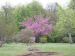 2006-04-23-Itteville--AM75.jpg