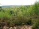 2006-05-07-Dourdan-PM14.jpg