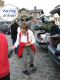 2006-05-07-Dourdan-PM36.jpg