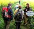 2006-05-07-Dourdan54.jpg
