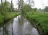 2006-05-07-Dourdan71.jpg