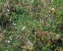 2006-09-03-Viliers-PM02.jpg