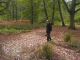 2006-10-22-Rougeau-AM14.jpg