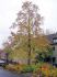 2006-11-19-DourdanAM03-.jpg
