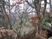 2006-12-17-AvonAM25-.jpg