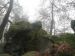 2006-12-17-AvonAM64-.jpg