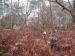 2006-12-17-AvonAM92-.jpg