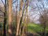 2007-04-01-T91-040-.jpg