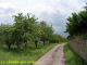 2007-05-26-Anost-AM075-.jpg