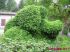 2007-05-27-Anost-PM09-.jpg