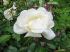 2007-05-27-Anost-PM28-.jpg