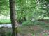 2007-05-27-Anost-PM31-.jpg