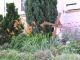 2007-06-17-Morin-AM39-.jpg
