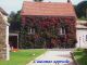 2007-09-30-Villeconin-AM75.jpg