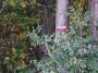 2007-09-30-Villeconin-PM12.jpg