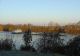2007-12-16-Bois-le-Roi-AM019.jpg