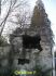 2007-12-16-Bois-le-Roi-AM020.jpg