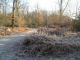 2007-12-16-Bois-le-Roi-AM061.jpg