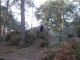 2007-12-16-Bois-le-Roi-AM073.jpg