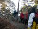 2007-12-16-Bois-le-Roi-AM074.jpg
