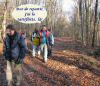 2007-12-16-Bois-le-Roi-PM01.jpg