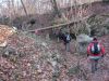 2007-12-16-Bois-le-Roi-PM05.jpg