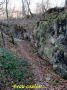 2007-12-16-Bois-le-Roi-PM07.jpg