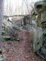 2007-12-16-Bois-le-Roi-PM08.jpg