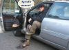 2007-12-16-Bois-le-Roi-PM34.jpg