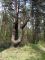 2008-04-20-CraonnePM32.jpg