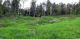 2008-04-20-CraonnePM49.jpg